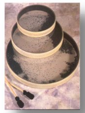 Remo_Ocean_Drum_22_Inch.jpg