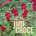 Jim Croce Hits - CDG PSCDG1375