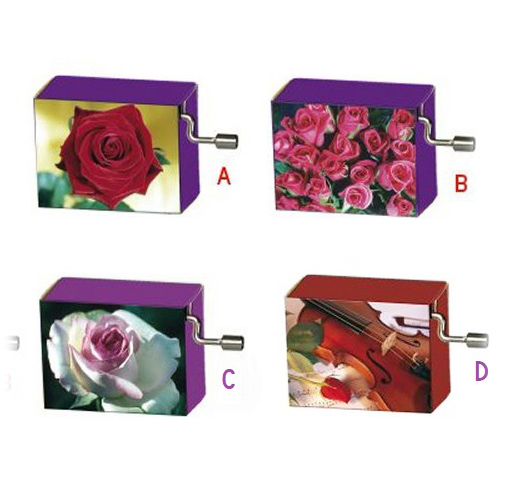 Image of four in the Rose Series