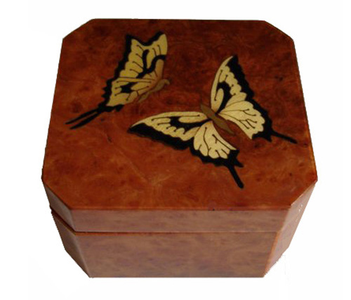 Two butterflies on burled elm music box