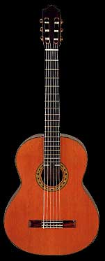 Aria Concert Classical - Ensemble Bass - AC-75B