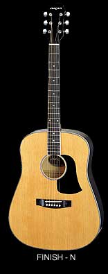 Aria Acoustic  - AW-20