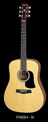 Aria Acoustic  - AW-75