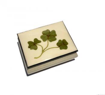 Graceful Shamrocks on White Musical Box 