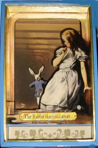 Alice in Wonderland with Rabbit  