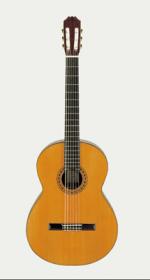 ARIA  コントラバスギター　AC-75CB