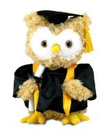 Dr Hoot