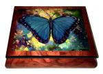 Blue Morpho by Simon Bull