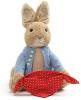 Beatrix Potter Peek a Boo Peter Rabbit by Gund