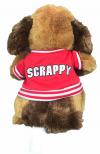 Scrappy - Rear View