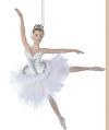 Solo Ballerina - The Swan from The Swan Lake Ballet