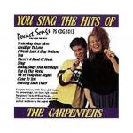 The Carpenters You Sing The Hits 