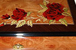 close-up view of red roses