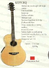 Hohner - Acoustic/Electric Cutaways - Spruce Top