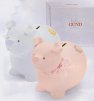 Musical Piggy Banks  by Gund