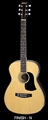 Aria Acoustic  - AF-20 1/2