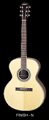 Aria Acoustic - Sandpiper ASP-330