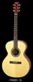 Aria Acoustic  - Sandpiper ASP-930