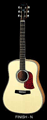 Aria Acoustic  - AW-630 