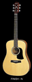 Aria Acoustic  - AW-75