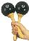 LP Maracas Fiber
