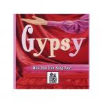 Gypsy Hits You Can Sing Too